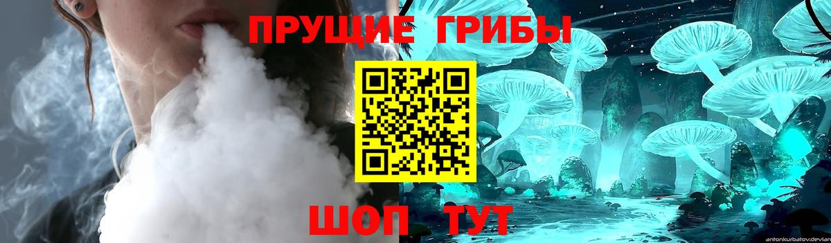 Псилоцибиновые грибы ЛСД Вольск